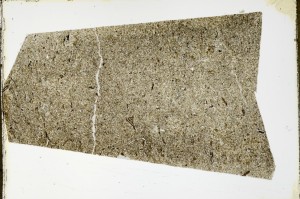 Plane Polarized, S63509