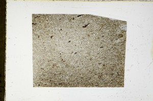 Plane Polarized, S63510