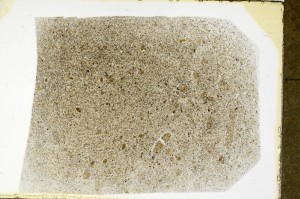 Plane Polarized, S63511