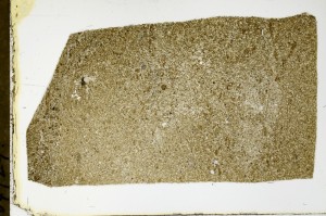 Plane Polarized, S63513