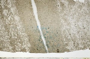 Plane Polarized, S63535