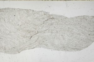 Plane Polarized, S63541