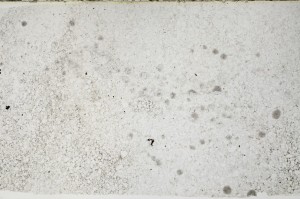 Plane Polarized, S63550