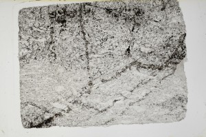 Plane Polarized, S63551