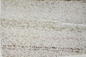 Plane Polarized, S63564