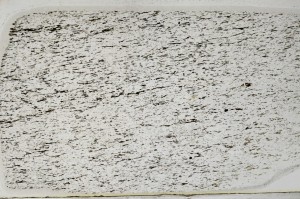 Plane Polarized, S63585