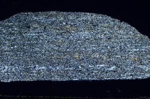 Cross Polarized, S63586