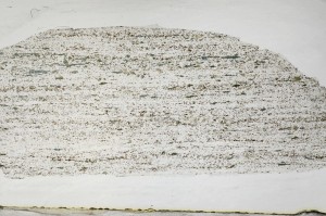 Plane Polarized, S63586