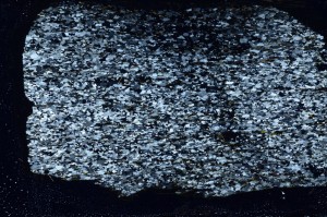 Cross Polarized, S63587