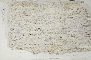 Plane Polarized, S63587