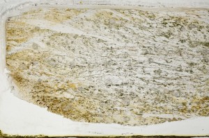 Plane Polarized, S63588