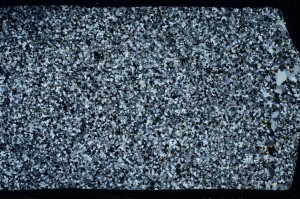 Cross Polarized, S63593