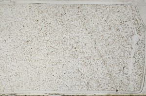 Plane Polarized, S63593