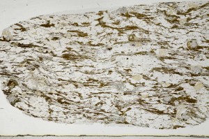 Plane Polarized, S63597