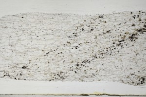 Plane Polarized, S63599