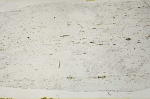 Plane Polarized, S63602