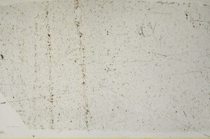 Plane Polarized, S63607