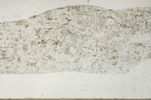 Plane Polarized, S63608