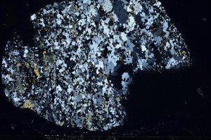 Cross Polarized, S63638