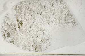 Plane Polarized, S63638