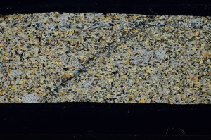 Cross Polarized, S63639