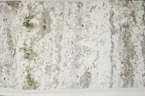 Plane Polarized, S63645