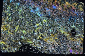 Cross Polarized, S63647