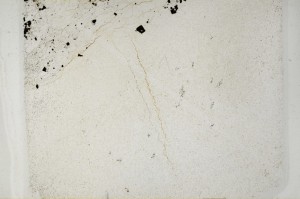 Plane Polarized, S63660