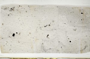 Plane Polarized, S63661