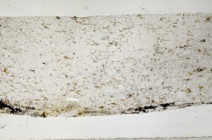 Plane Polarized, S63663