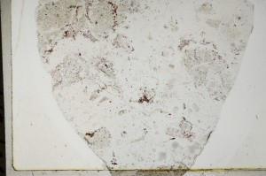 Plane Polarized, S63673
