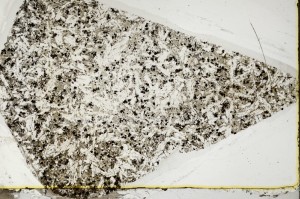 Plane Polarized, S63674