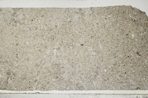 Plane Polarized, S63679