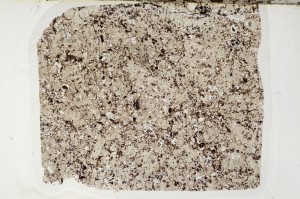 Plane Polarized, S63682