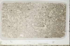 Plane Polarized, S63683