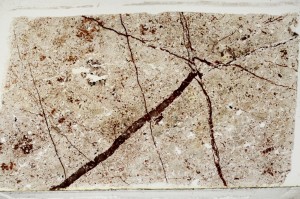 Plane Polarized, S63694/A