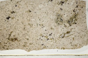 Plane Polarized, S63702