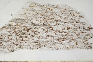 Plane Polarized, S63722