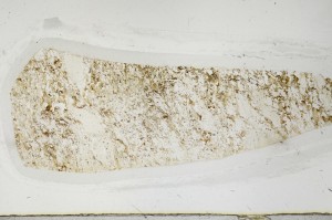 Plane Polarized, S63726