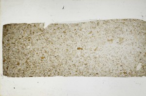 Plane Polarized, S63729