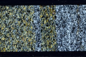 Cross Polarized, S63732