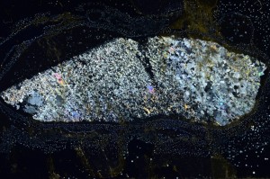 Cross Polarized, S63734