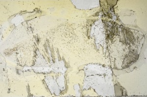 Plane Polarized, S63734