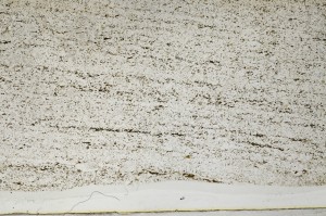Plane Polarized, S63739