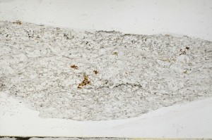 Plane Polarized, S63792