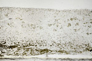 Plane Polarized, S63821