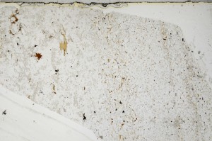 Plane Polarized, S63826