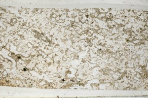 Plane Polarized, S63829