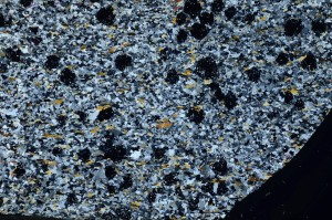 Cross Polarized, S63832