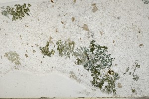 Plane Polarized, S63838